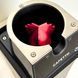 Cafetto Automatic Portafilter Cleaner - професійний автоматичний очищувач портафільтрів portafilter-cleaner фото 2
